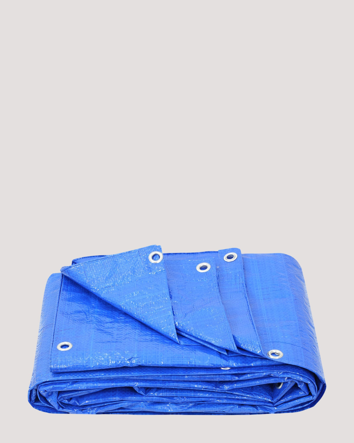 Blue Light Duty Poly Tarp